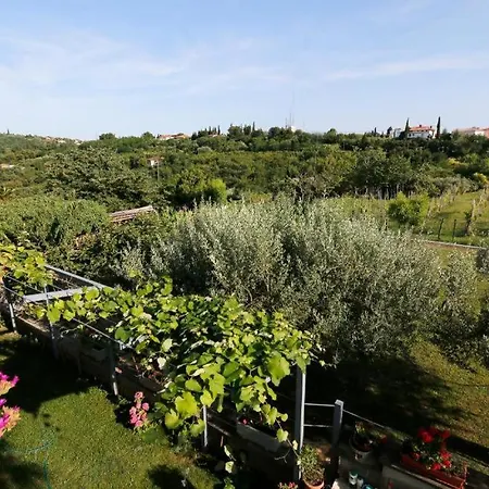 Apartman Apartmaji Neja *