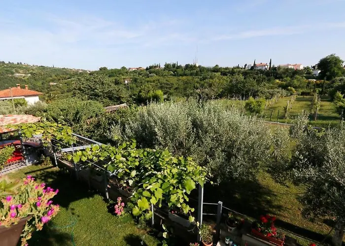 Daire Apartmaji Neja *